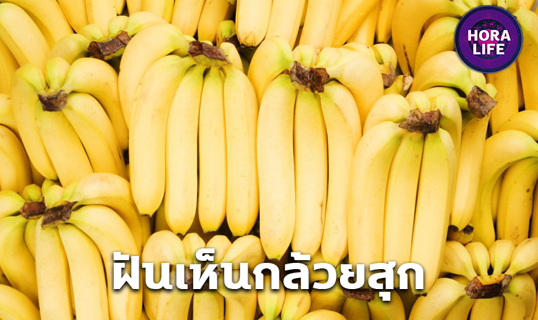 ฝันเห็นกล้วยสุก จะมีความหมายว่าอย่างไรบ้าง พร้อมส่องเลขเด็ดนำโชค